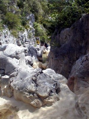 p1010069