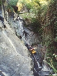 thuesf2